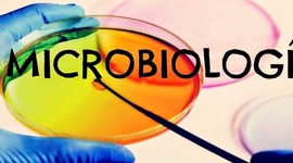 Timeline: Línea del tiempo Microbiología