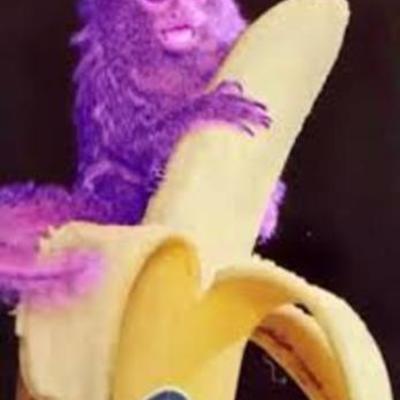 Timeline: Lifespan Development