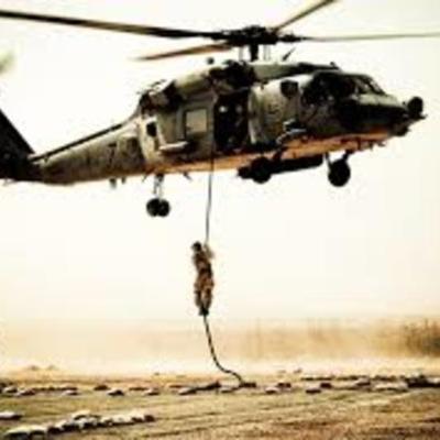 Timeline: International Crisis Noah Gush