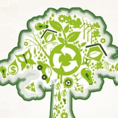 Timeline: Contexto Actual Medio Ambiente