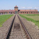 Auschwitz3 644x362