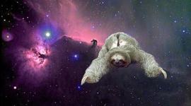 Timeline: History of the internet