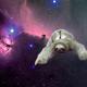 Space sloth