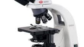 Timeline: Cell Theory Timeline