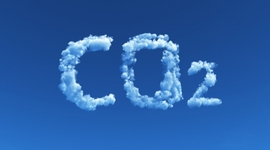 Timeline: 10 formas de reducir tu huella de carbono