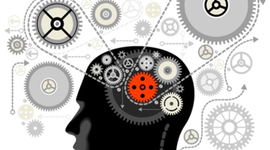 Timeline: Teacher Developement Task 1