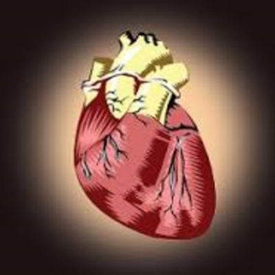 Timeline: The Evolution of the Artificial Heart