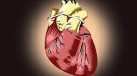 Timeline: The Evolution of the Artificial Heart