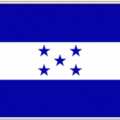 Timeline: Sara's timeline