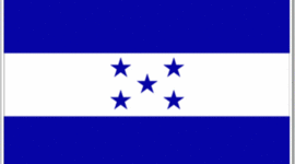 Timeline: Sara's timeline