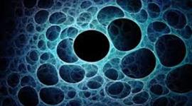 Timeline: Història de la cèl·lula