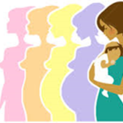 Timeline: línea de tiempo prenatal