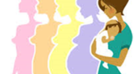 Timeline: línea de tiempo prenatal