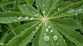 Timeline: Línea del tiempo de Biología