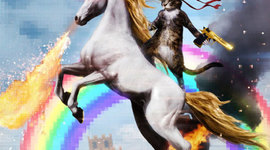 Timeline: THE INTERNET