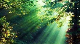 Timeline: Desarrollo Sostenible