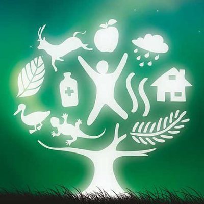 Timeline: Turismo Sostenible