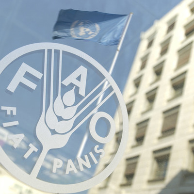 Timeline: FAO (Food and Agriculture Organization of the United Nations)