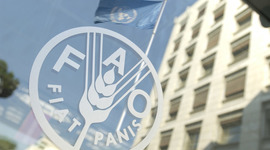 Timeline: FAO (Food and Agriculture Organization of the United Nations)