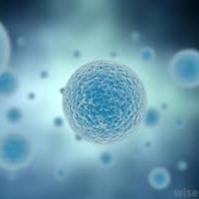Timeline: Cell Theory Timeline