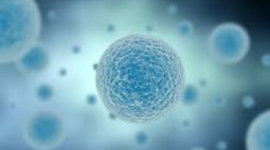 Timeline: Cell Theory Timeline