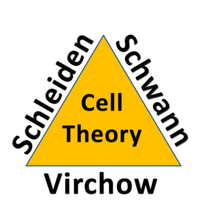 Timeline: Development of the Cell Theory