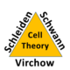 Cell theory