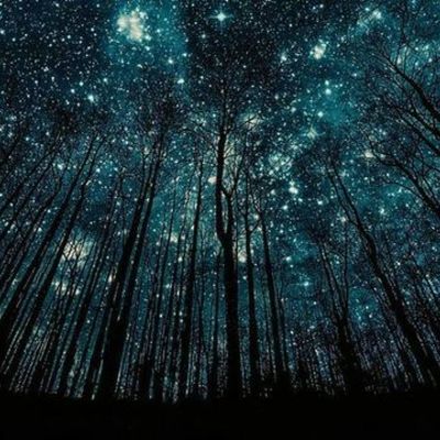 Timeline: desarrollo