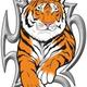 Tiger1