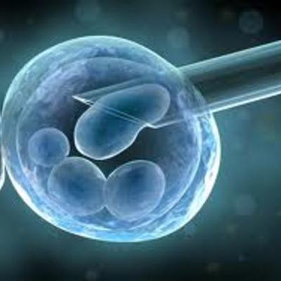 Timeline: BRAVE NEW WORLD