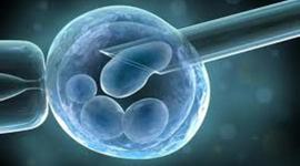 Timeline: BRAVE NEW WORLD