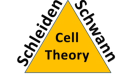 Timeline: Cell Theory by; Julian Pulliam