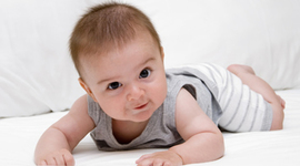 Timeline: Historia Odontología del Bebe