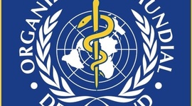 Timeline: O.M.S. PRACTICA Nº 1 DERECHO INTERNACIONAL