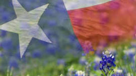 Timeline: Yadira's Texas History Timeline 15-16