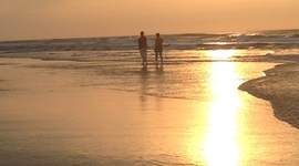 Timeline: Mary's Summer