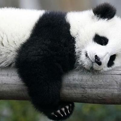 Timeline: History of Education