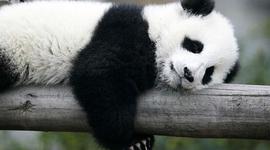 Timeline: History of Education