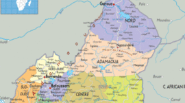 Timeline: Cameroon