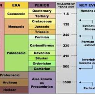 Timeline: Historical Geology- Alana Meskel
