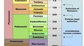 Timeline: Historical Geology- Alana Meskel
