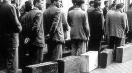 Timeline: Emigración puertorriqueña en la época del 50