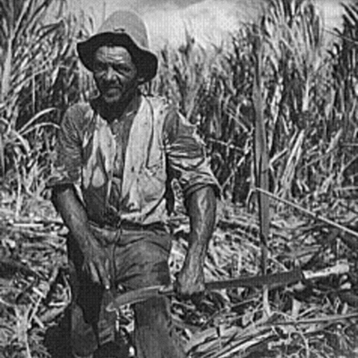 Timeline: La Carreta