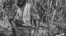 Timeline: La Carreta