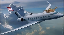 Timeline: La emigración puertorriqueña en la época del 50