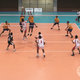 Voleibol