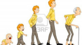 Timeline: Desarrollo del hombre