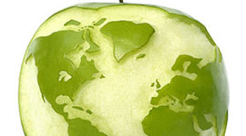 Timeline:  Linea del tiempo Dia Mundial De La Alimentacion