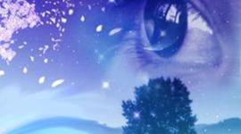 Timeline: A Dream Come True