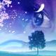 Dream